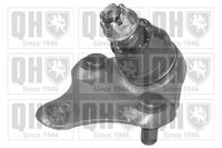 Trag-/Führungsgelenk