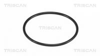 Garnitura, filtru ulei TRISCAN, Cod: 8900 11011