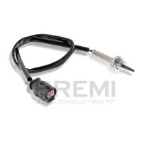 Sensor, Abgastemperatur Sensor, Abgastemperatur