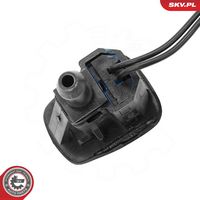 Article Picture