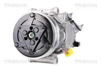 Compresor, climatizare TRISCAN, Cod: 9020 28023