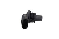 Article Picture