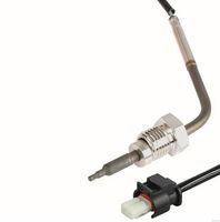 Sensor, Abgastemperatur