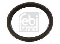 Dichtring, Achsschenkel