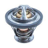 термостат, охладителна течност