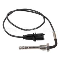 Sensor, Abgastemperatur