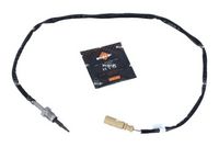 Sensor, Abgastemperatur