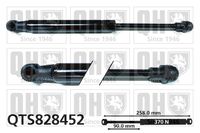 Gasfeder, Koffer-/Laderaum