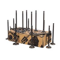 Thumbnail - Kleppenset, in-/uitlaatklep - VS0027 - ET ENGINETEAM