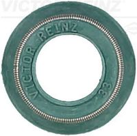 Seal Ring, valve stem