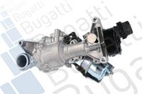 Wasserpumpe, Motorkühlung