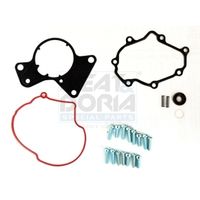 Repair Set, vacuum pump (braking system)