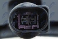 Article Picture