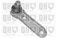 Trag-/Führungsgelenk