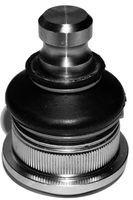 Trag-/Führungsgelenk