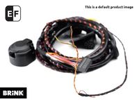 Elektrosatz, Anhängevorrichtung