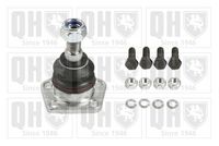 Trag-/Führungsgelenk