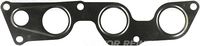 Gasket, exhaust manifold