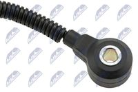 Article Picture