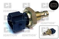 Sensor, Ansauglufttemperatur