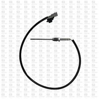 Sensor, Abgastemperatur