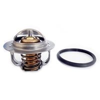 Thermostat, Kühlmittel
