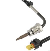 Sensor, Abgastemperatur