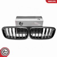 Radiator Grille