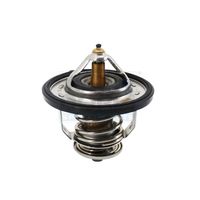 термостат, охладителна течност