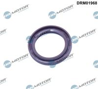 Shaft Seal, differential