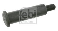 Befestigungsbolzen, Stabilisator