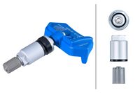 Radsensor, Reifendruck-Kontrollsystem