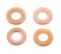 Dichtring, Düsenhalter