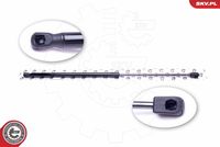 Gas Spring, boot/cargo area