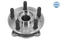 Article Picture