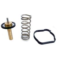 Thermostat, Kühlmittel