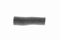 Article Picture