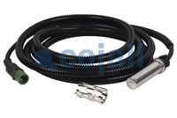 Sensor, Raddrehzahl Sensor, Raddrehzahl