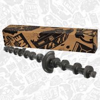 ARBORE EXCENTRIC REGLAREA ARBORELUI CU CAME