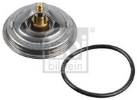 Thermostat, Kühlmittel