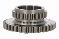 Timing Gear