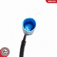 Article Picture