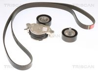Set curea transmisie cu caneluri TRISCAN, Cod: 8642 11004