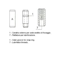 Ventilführung