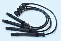 Set fise bujii ASAM AUTOMOTIVE, Cod: 32680