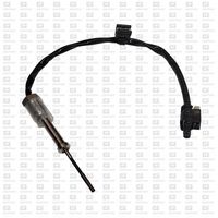 Sensor, Abgastemperatur