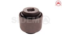 Mounting, control/trailing arm