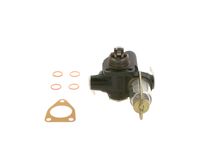 Article Picture