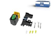 Stecker