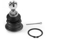 Trag-/Führungsgelenk